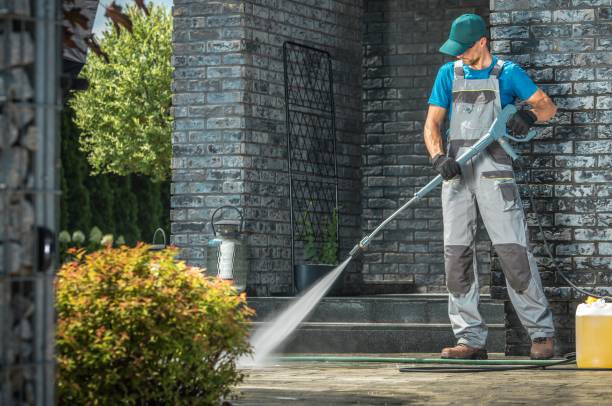 Best Solar Panel Cleaning  in Spring Valley, MN